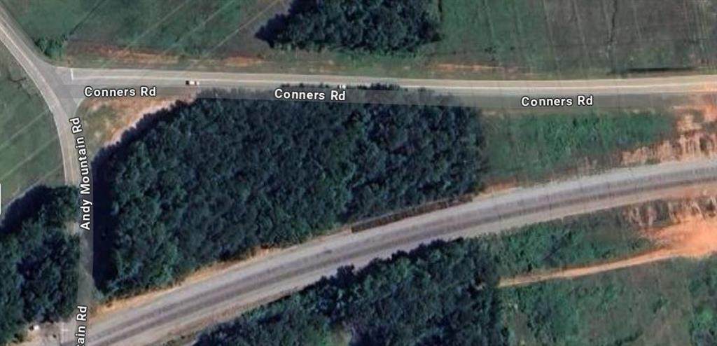 0 Andy Mountain Road - Photo 1