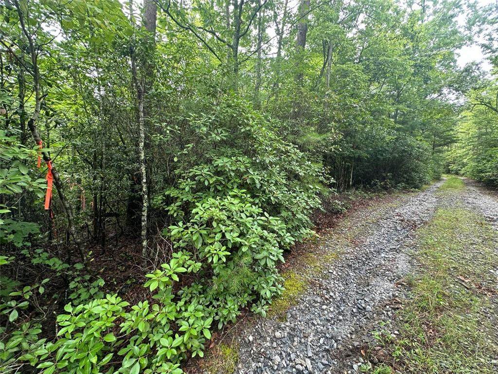 0 Loblolly Drive - Photo 1
