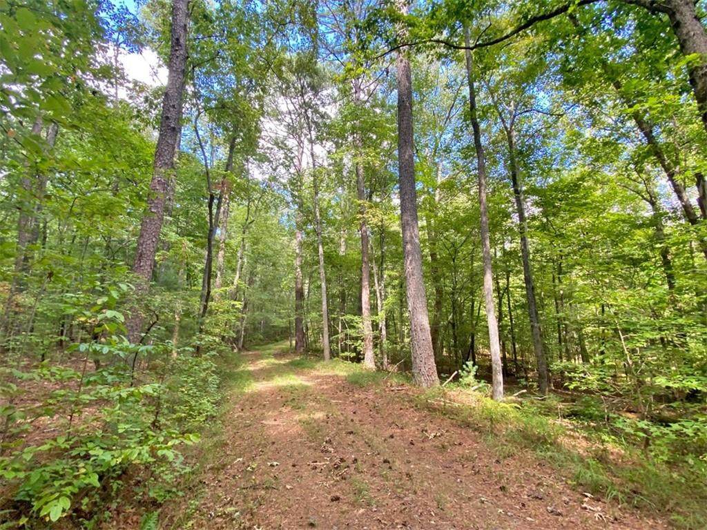 153AC White Path Road - Photo 1