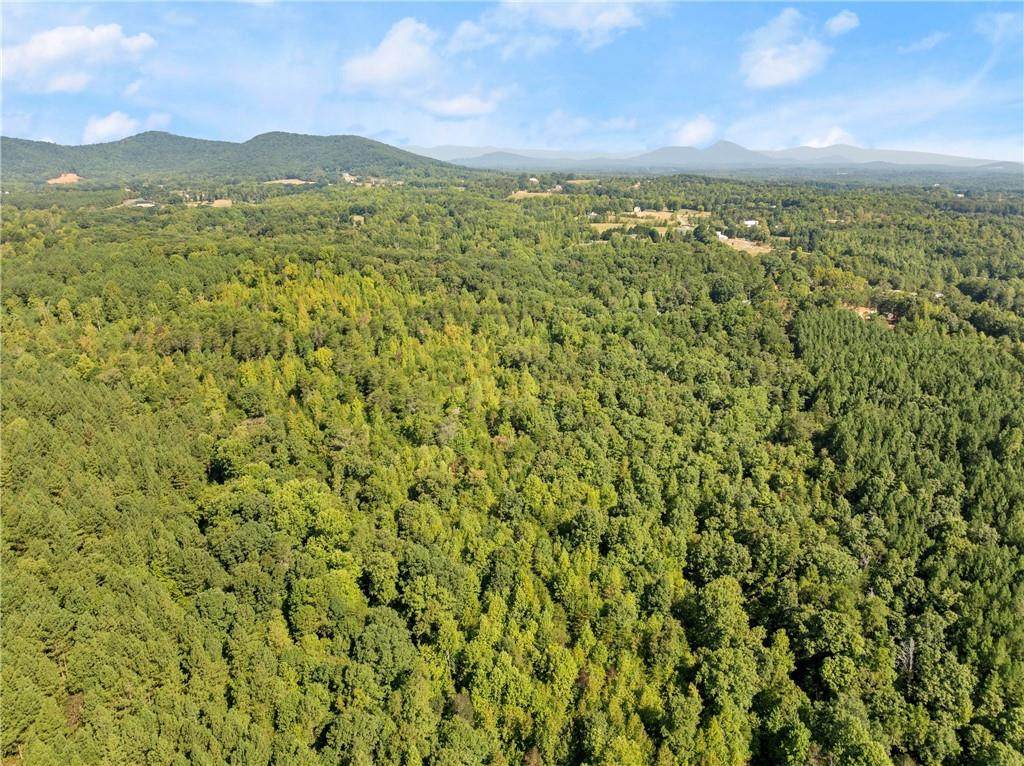 0 Oliver Mill Road - Photo 1