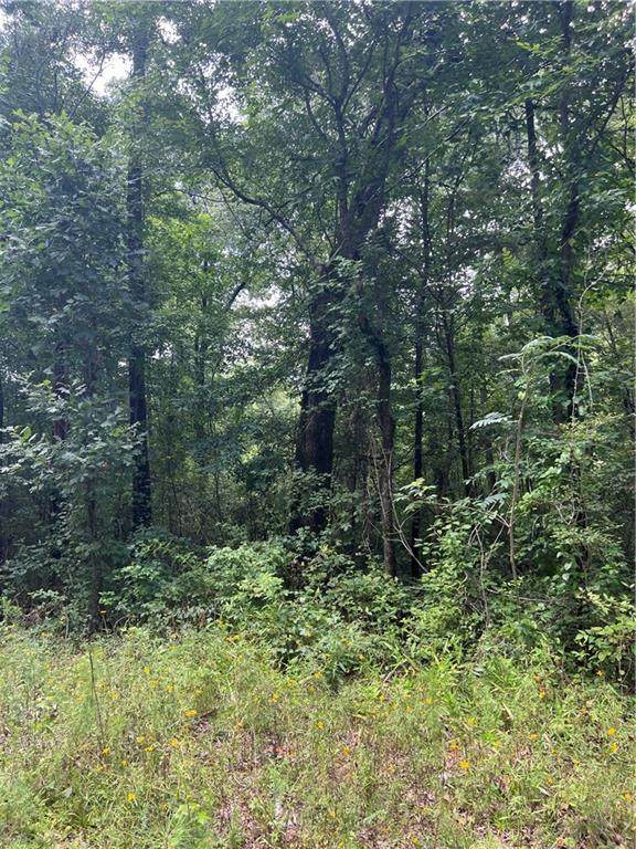 894 Forrester Cemetery Road - Photo 1