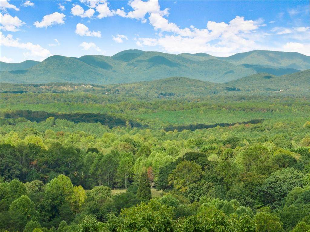 25 Long Mountain Trail - Photo 1