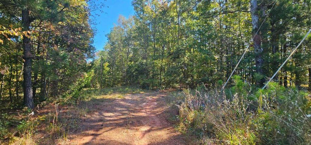 785 Mangham - Photo 1