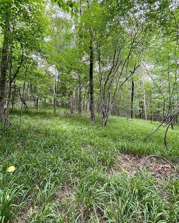 55 Sweetwater - Photo 1