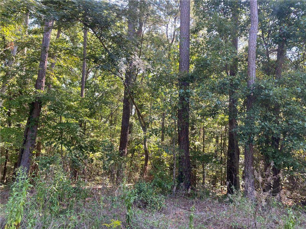 0 Lakewood Way - Photo 1