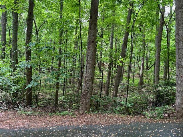 0 Noonday Church Road - Photo 1