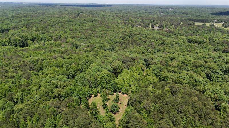 5022 Daniell Mill Road - Photo 1