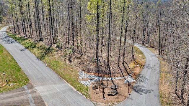 253 Laceola Road - Photo 1