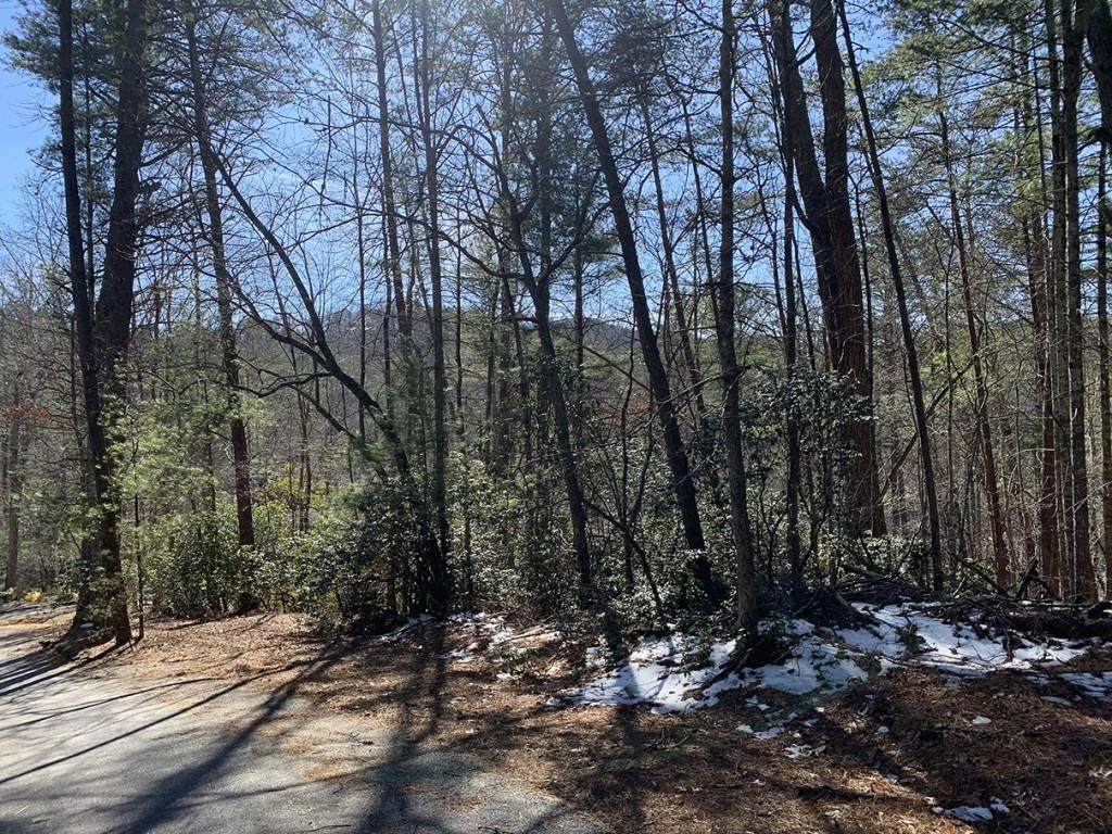 0 Pinecrest Road - Photo 1