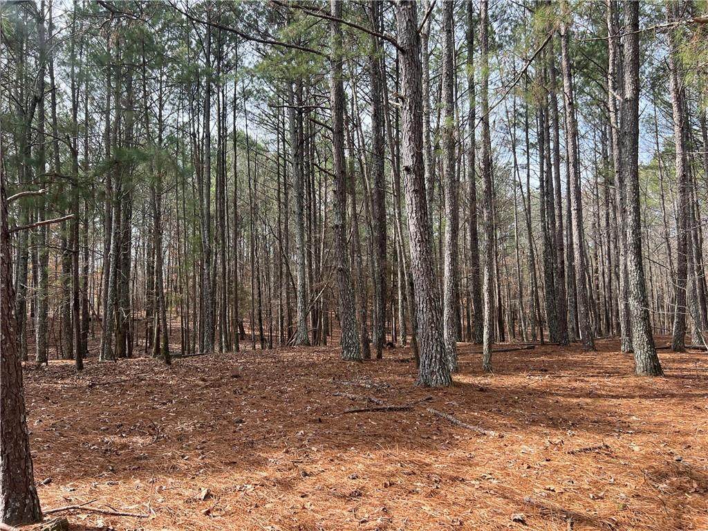 325 Everett Springs Road - Photo 1
