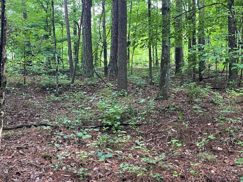 2708-A Narroway Church Circle - Photo 1