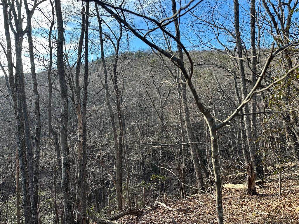 Lt1141 Oglethorpe Mountain Road - Photo 1