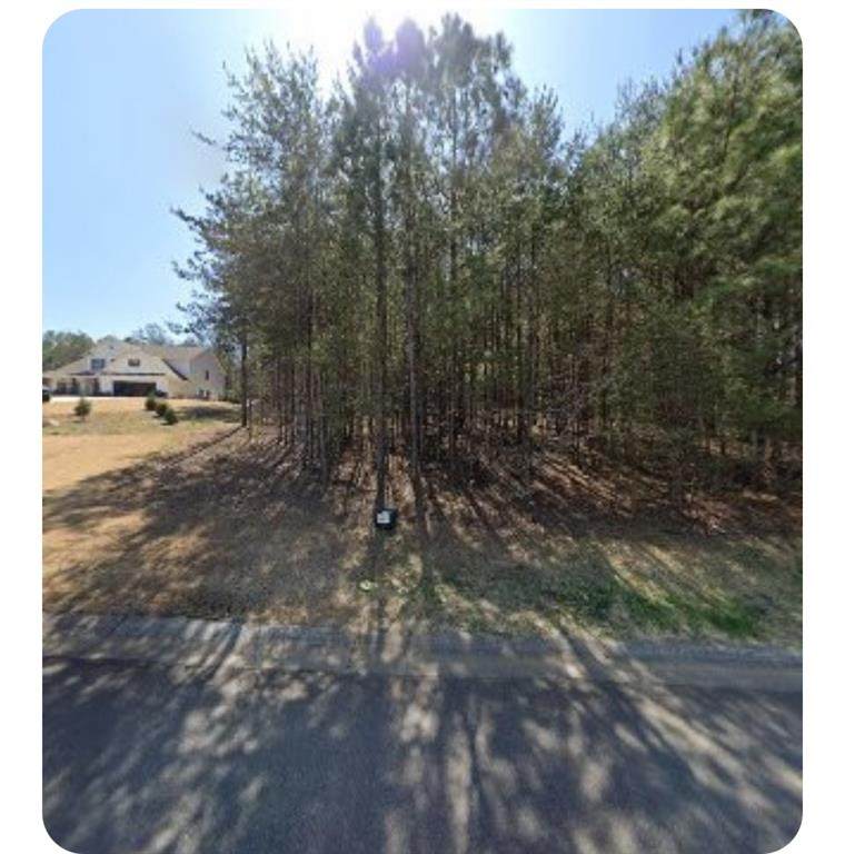 533 Black Horse Circle - Photo 1