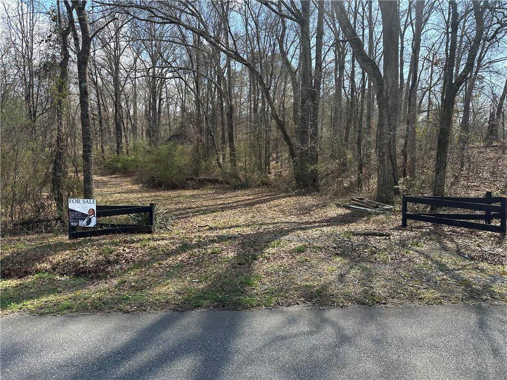 0 Pine Mountain Road - Photo 1