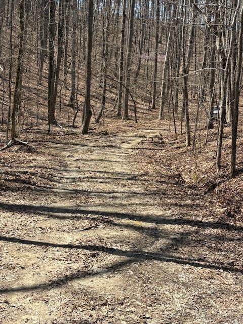 1092 Fern Court - Photo 1