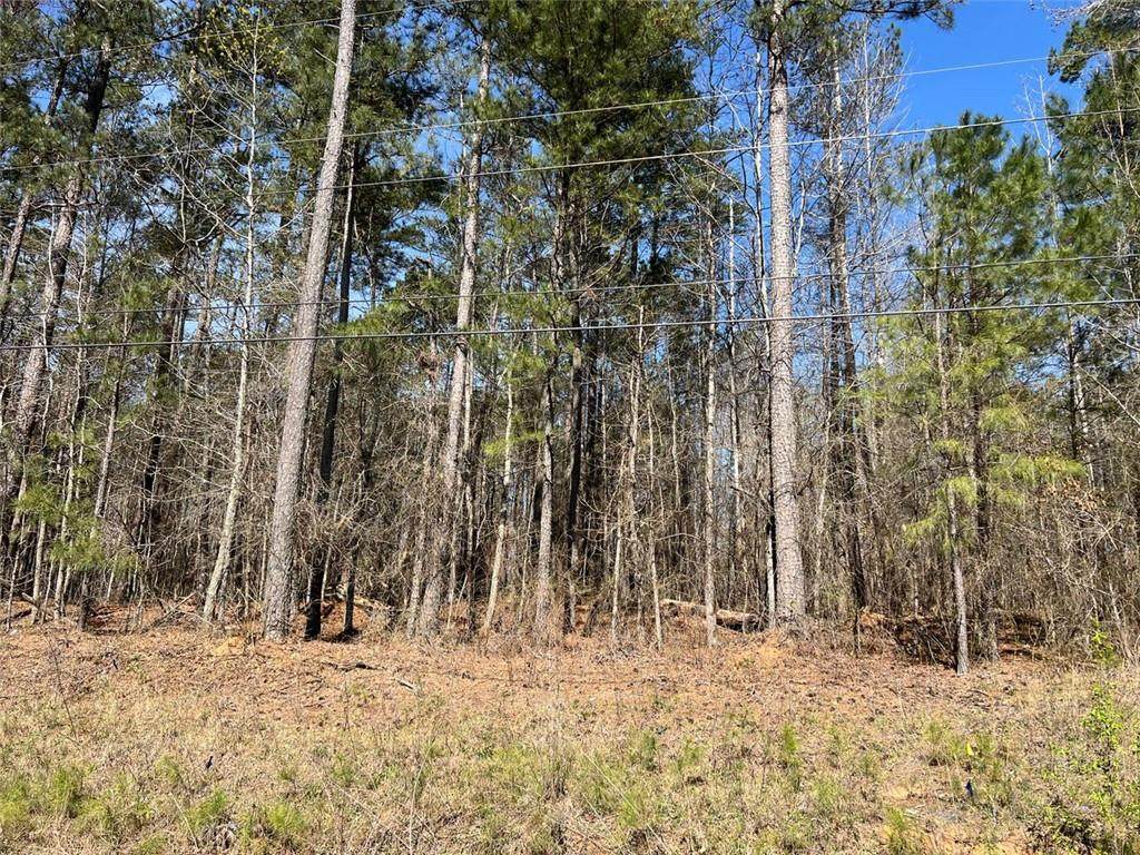 0 Jones Road - Photo 1