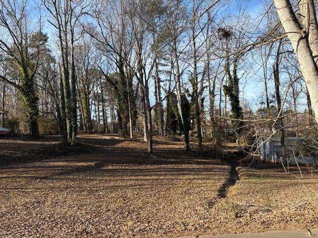 0 Piney Grove Lane - Photo 1
