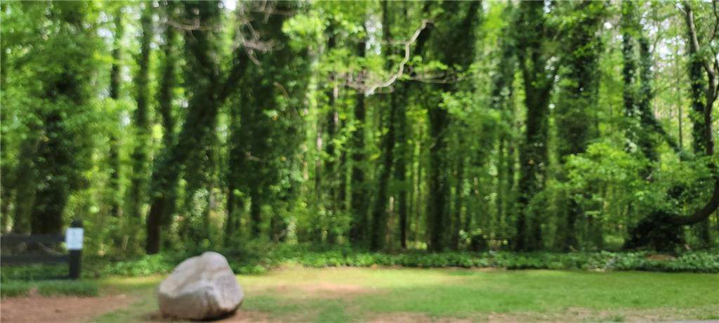 0 Lake Latimer Drive - Photo 1