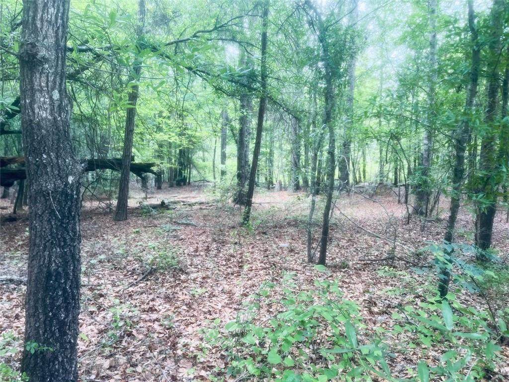 128 Bennett Drive - Photo 1