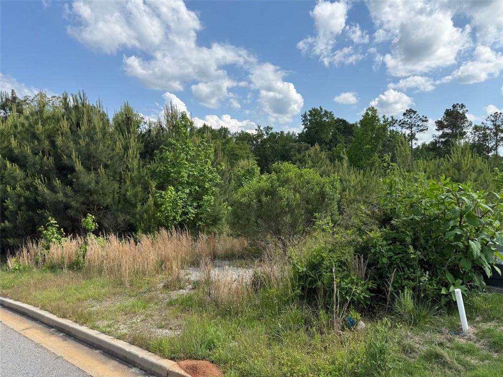 40 Arbor Springs Parkway - Photo 1