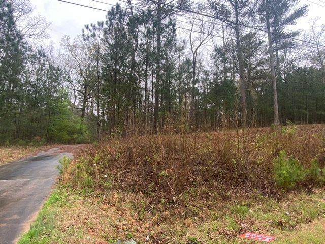 1746 Highway 54 - Photo 1