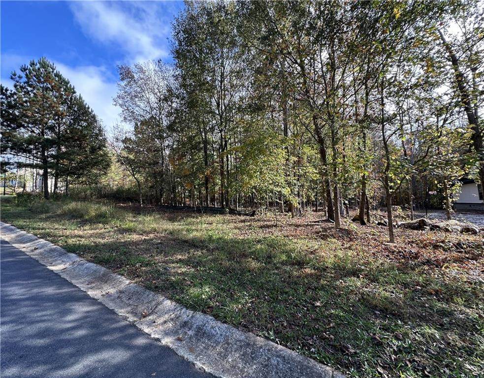 7710 Maes Run - Photo 1