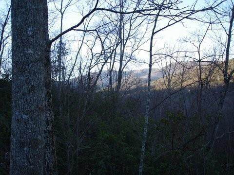 8182 Red Maple Lane - Photo 1