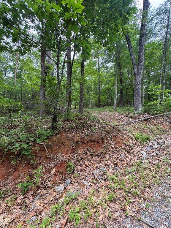 0 Nimblewill Creek Road - Photo 1