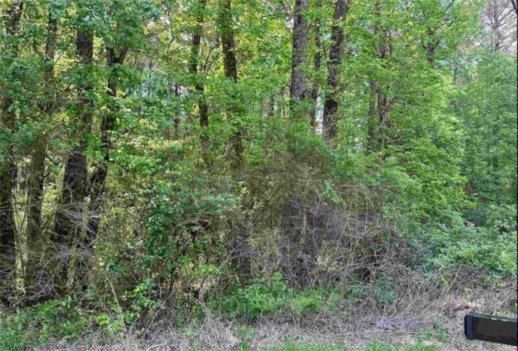 2918 Centerville Rosebud Road - Photo 1