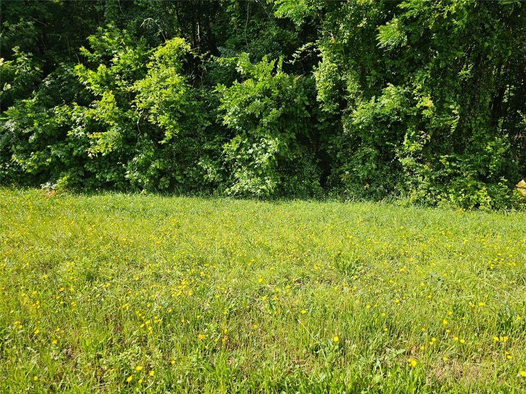 12103 Brown Bridge Road - Photo 1
