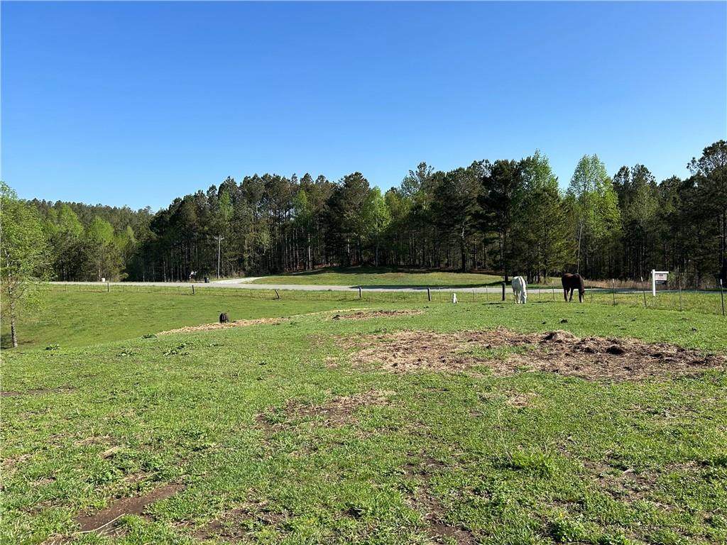 4-Acre Garland Mountain Trail - Photo 1