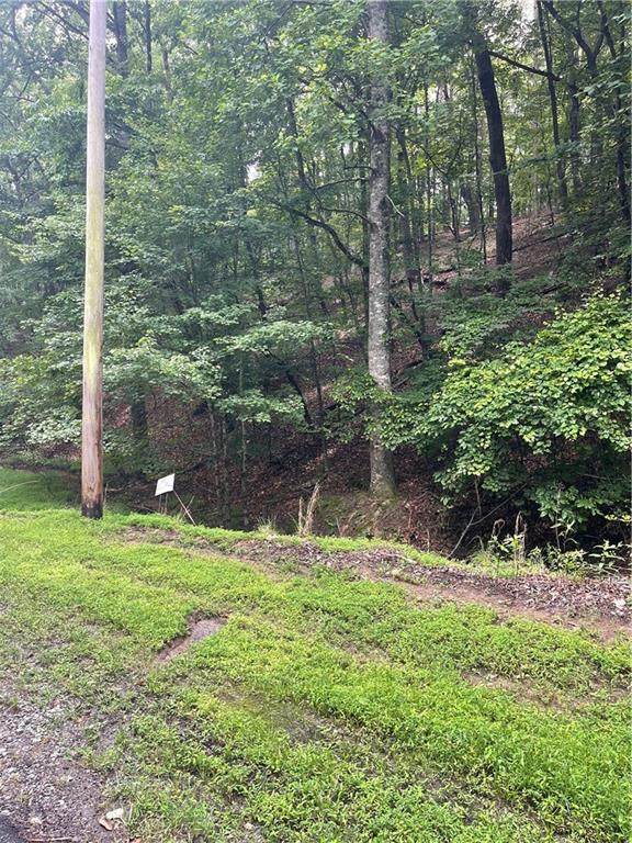 124 Morning Star Drive - Photo 1