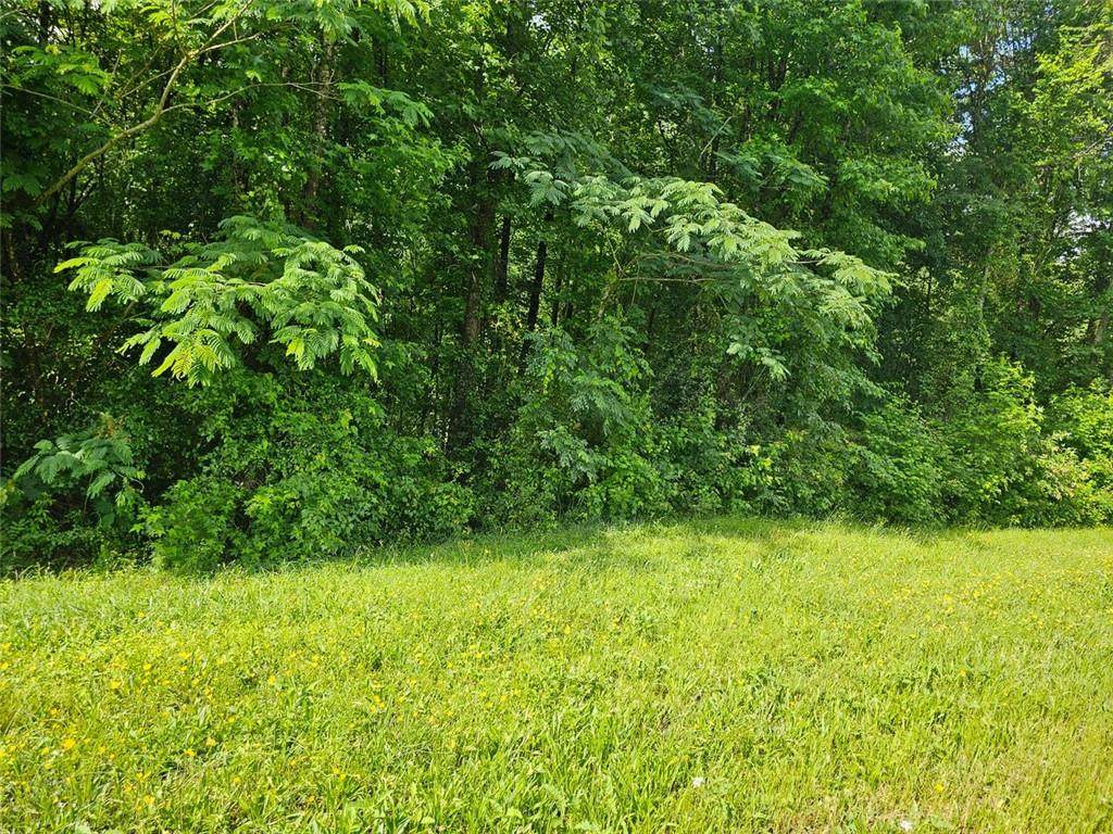 12109 Brown Bridge Road - Photo 1