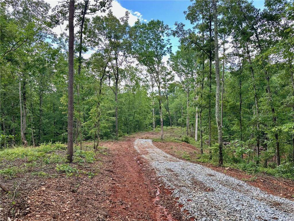 49 Yancy Drive - Photo 1