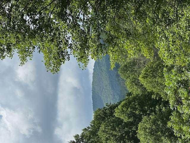 0000 Big Creek Road - Photo 1