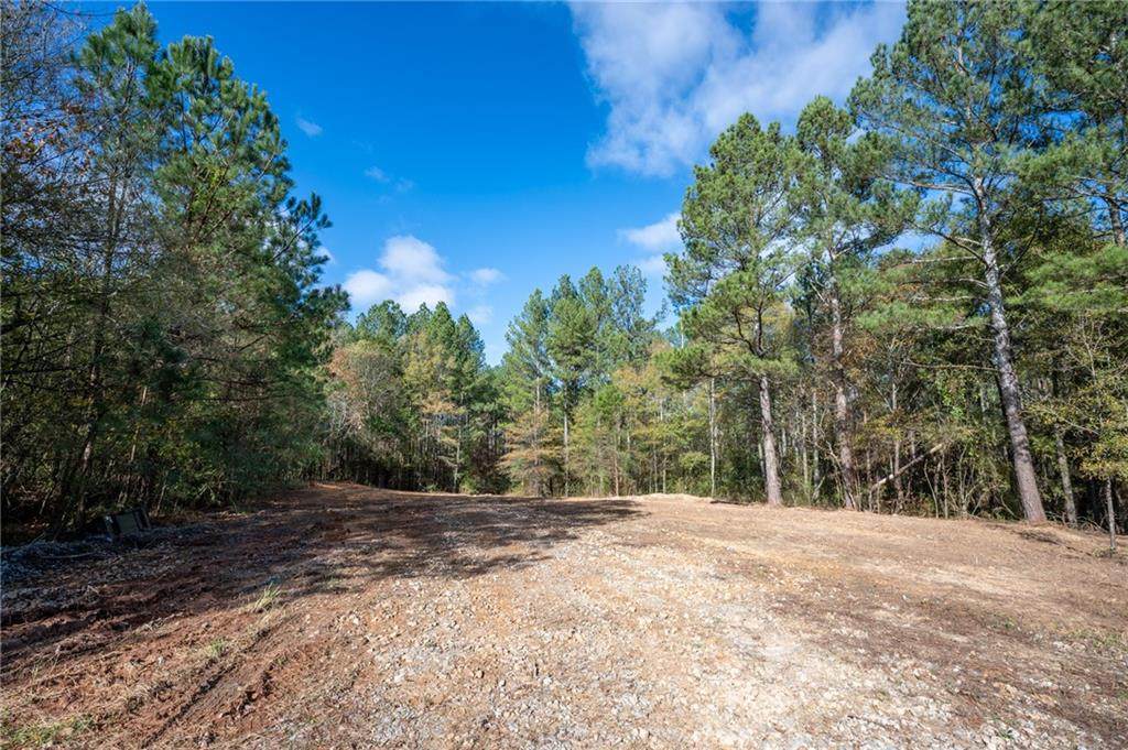 00 Oak Grove Road - Photo 1