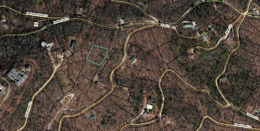 LT 547 Saddle Gap Drive - Photo 1