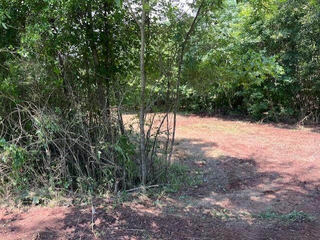0 Harris Lord Cemetery Road - Photo 1