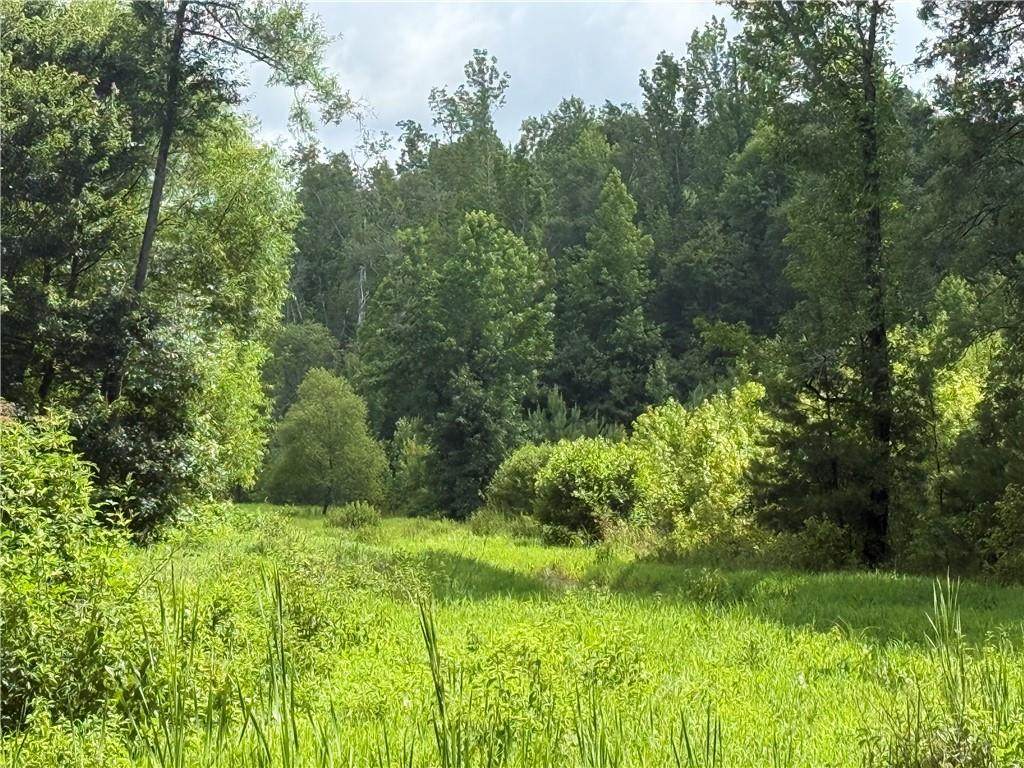 0 Turner Rd - Photo 1