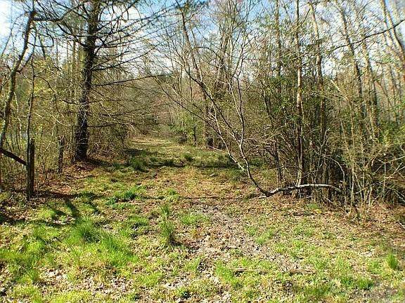0 Doublehead Gap Road - Photo 1