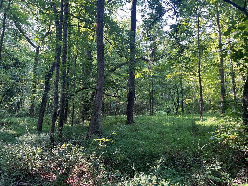 0 Mac Garner Road - Photo 1