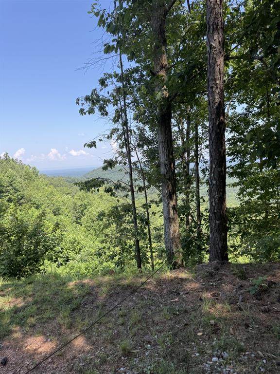 1588 Paladin Drive - Photo 1