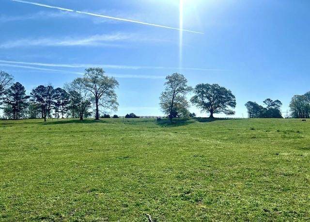 LOT 4 Hunts Gin Road - Photo 1