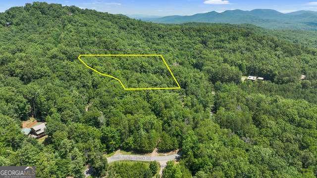 LOT 1 High Knee Road - Photo 1