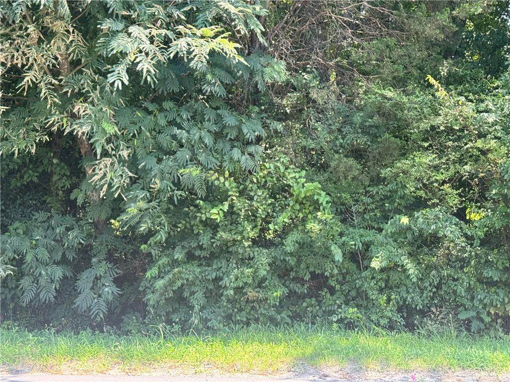 7059 Maddox Road - Photo 1