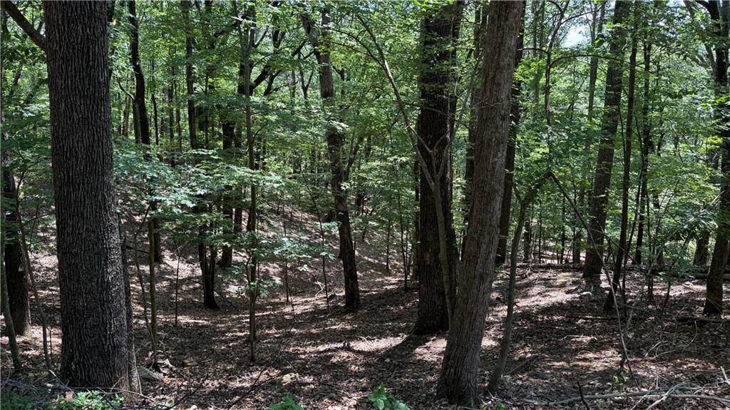 0 Laurel Mill Trail - Photo 1