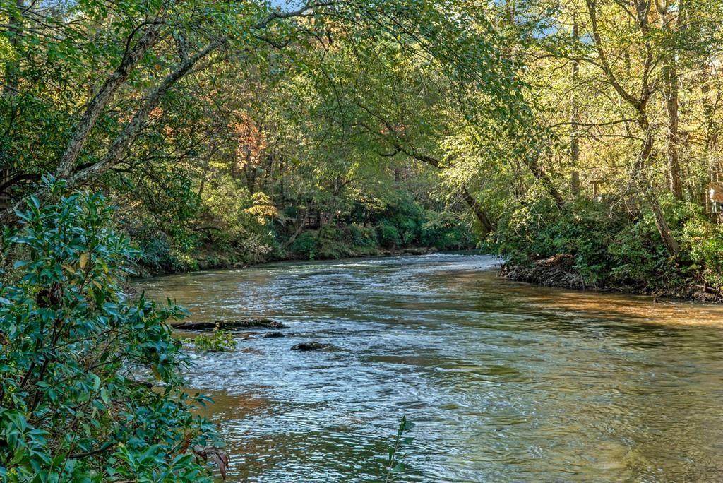0 River Forest Run - Photo 1