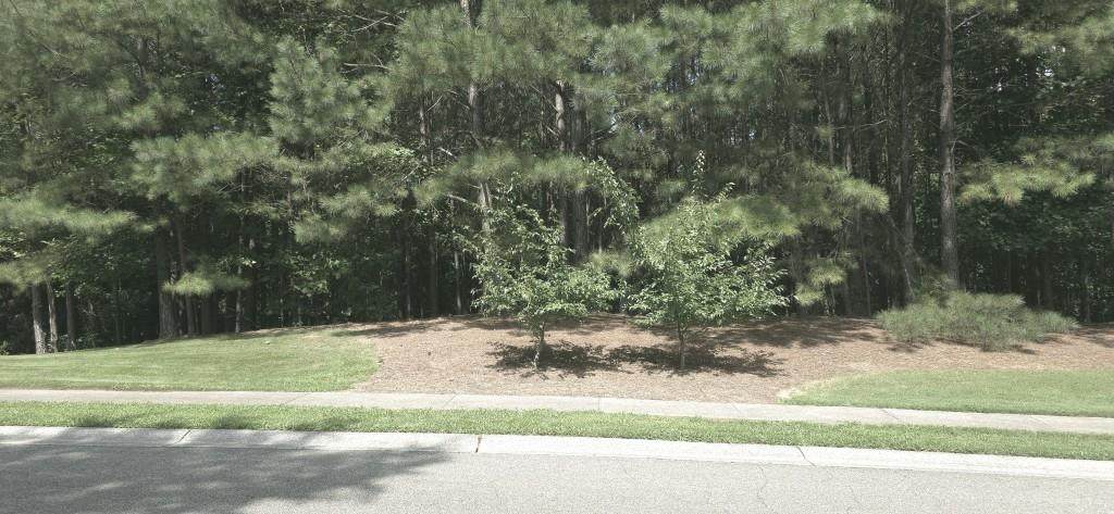 815 Waterford Estates Manor - Photo 1
