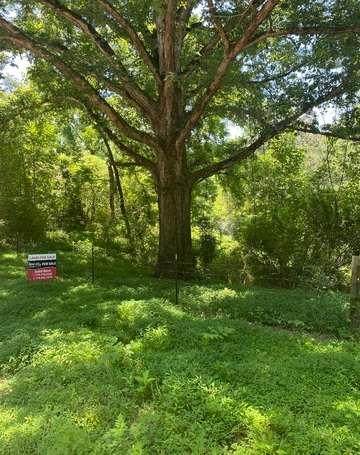 O Porter Springs Road - Photo 1