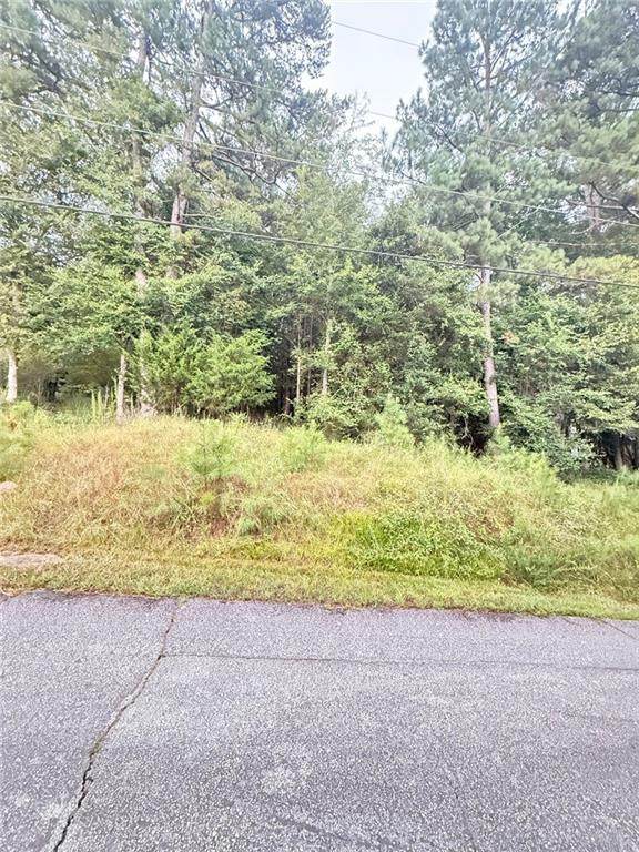 2569 Pinewood Drive - Photo 1